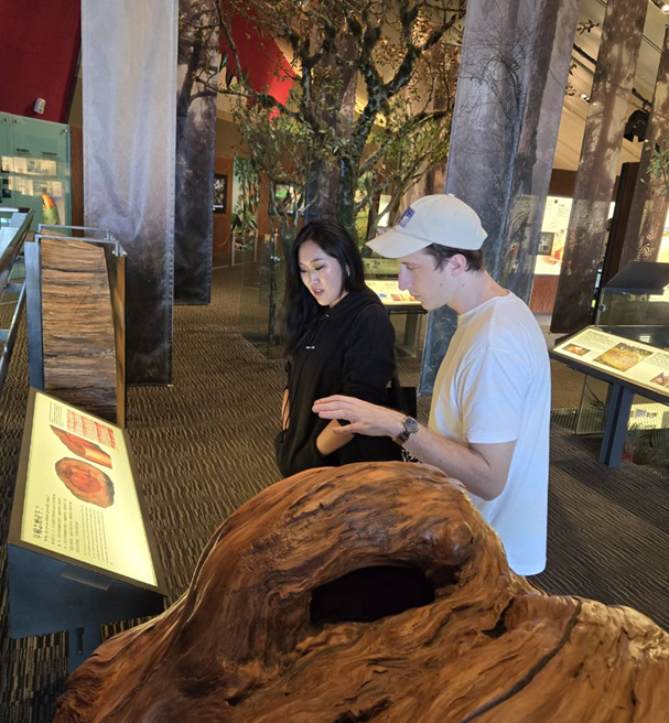 Austrian student Daniel Gombos and Mongolian student Oyundalai Odkhuu explored the plant section of the museum, while American student Christina Ellis (left) and Nigerian student Kei Motimifagha visit