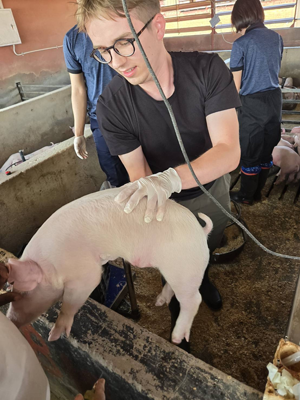 Antoni Mazek helped vaccinate piglets.